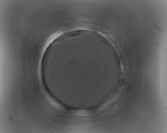 X0000114120104200910191731