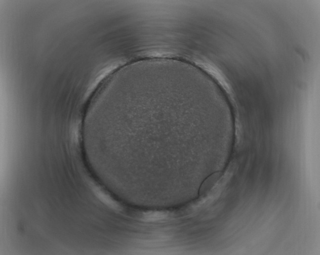 X0000114120105200910191731