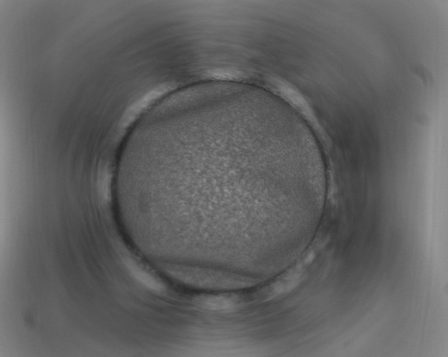 X0000114120106200910191731