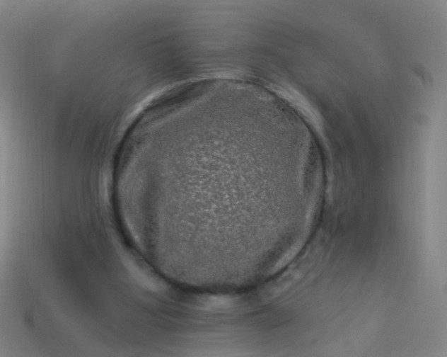 X0000114120107200910191731