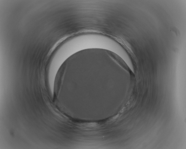 X0000114120108200910191731