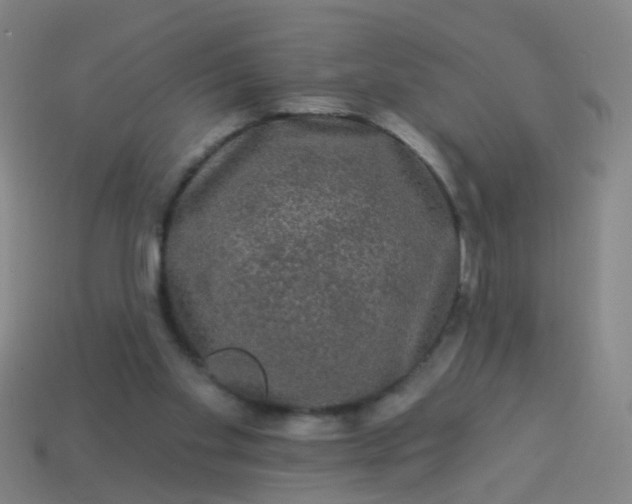 X0000114120109200910191731