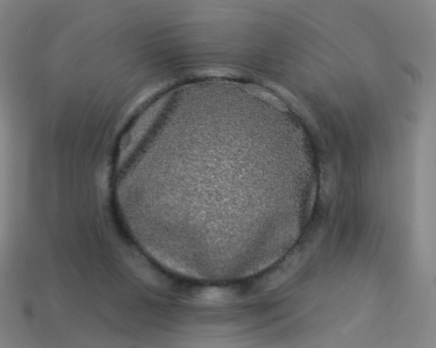 X0000114120111200910191731