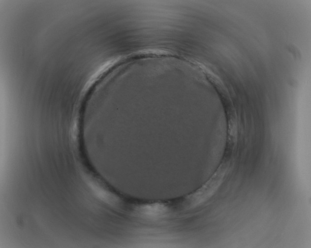 X0000114120112200910191731