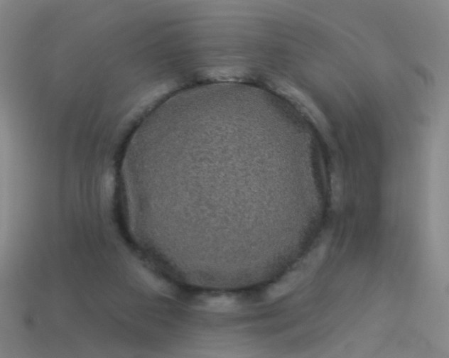 X0000114120113200910191731