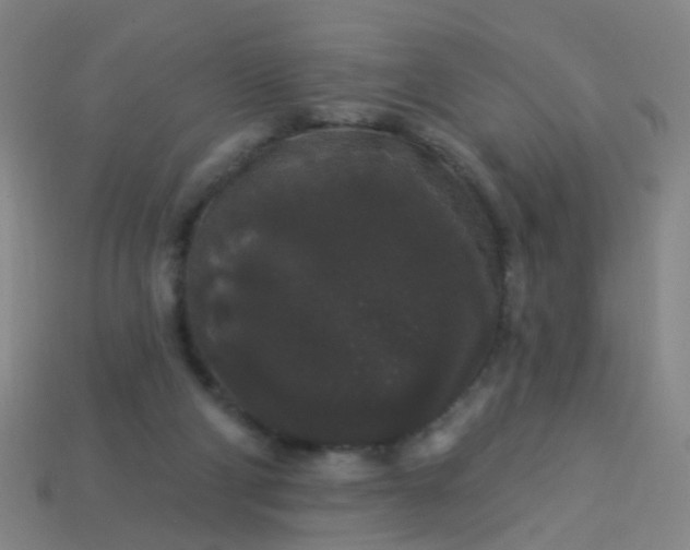 X0000114120114200910191731