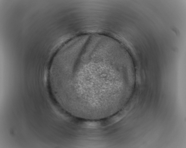 X0000114120115200910191731