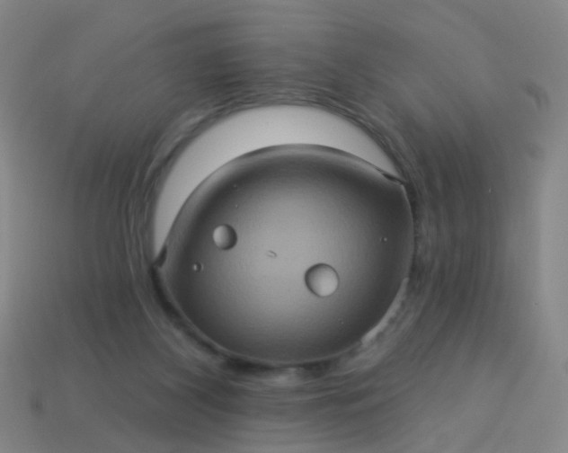 X0000114120116200910191731