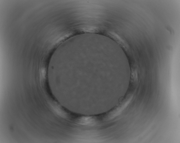 X0000114120117200910191731