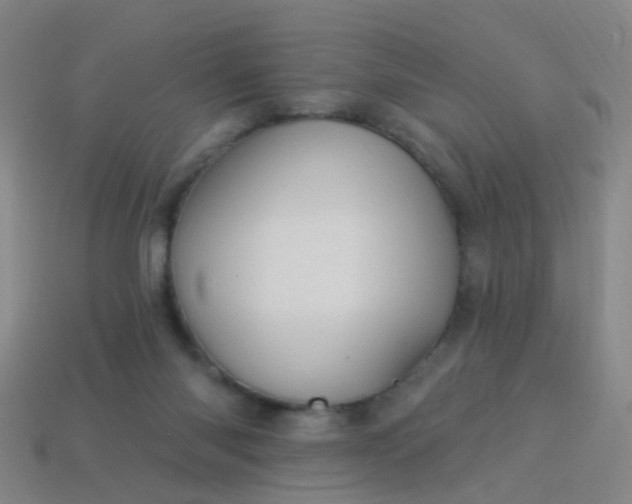 X0000114120118200910191731