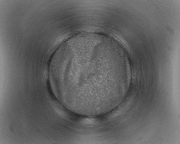 X0000114120119200910191731