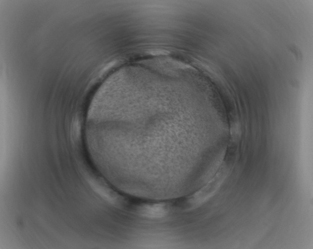 X0000114120120200910191731