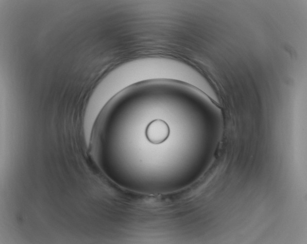 X0000114120121200910191731