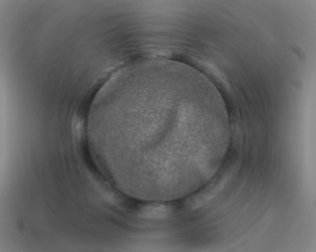 X0000114120123200910191731