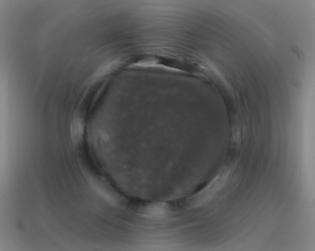 X0000114120124200910191731