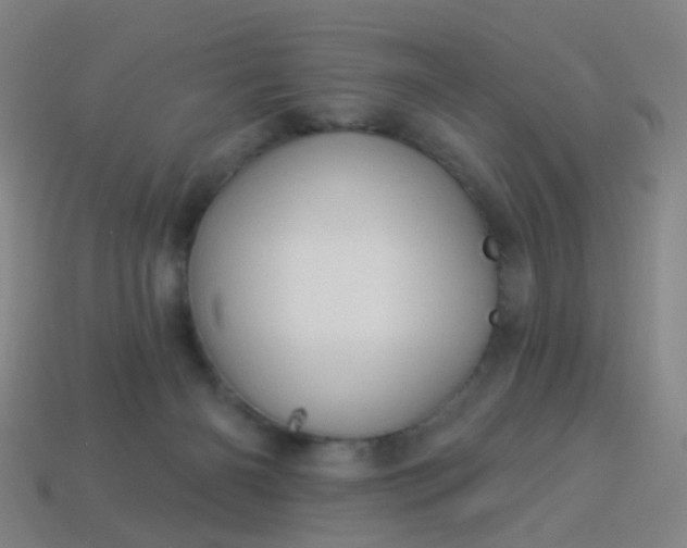 X0000114120126200910191731