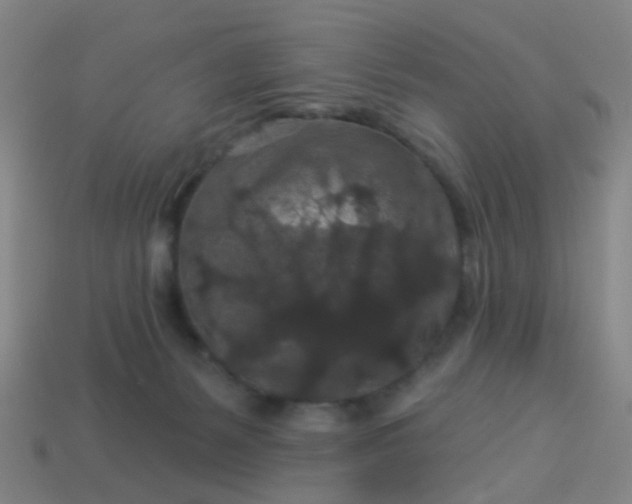 X0000114120127200910191731