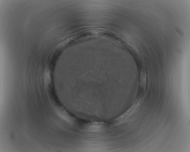 X0000114120128200910191731