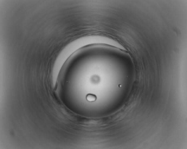 X0000114120129200910191731