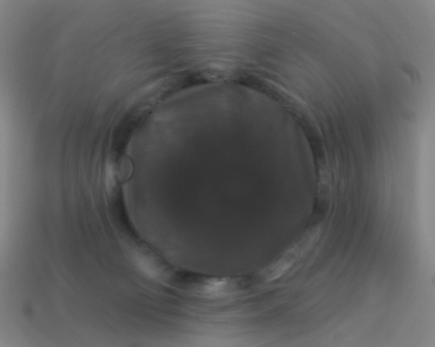 X0000114120130200910191731