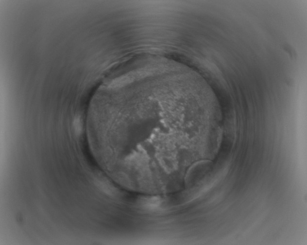 X0000114120131200910191731