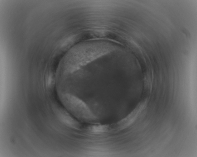 X0000114120134200910191731