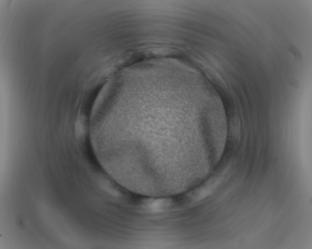 X0000114120135200910191731