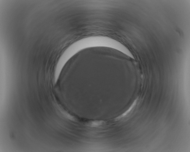 X0000114120136200910191731