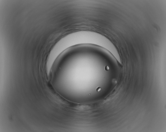 X0000114120137200910191731