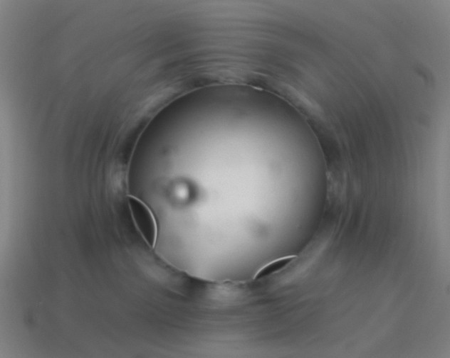 X0000114120141200910191731