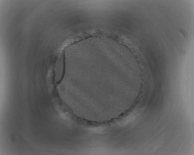 X0000114120144200910191731