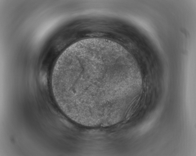 X0000114120146200910191730