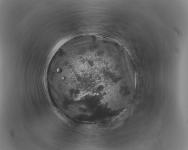 X0000114120147200910191730