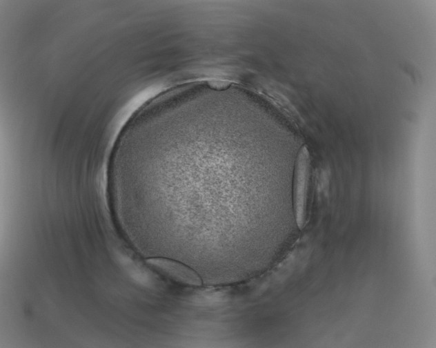 X0000114120148200910191730