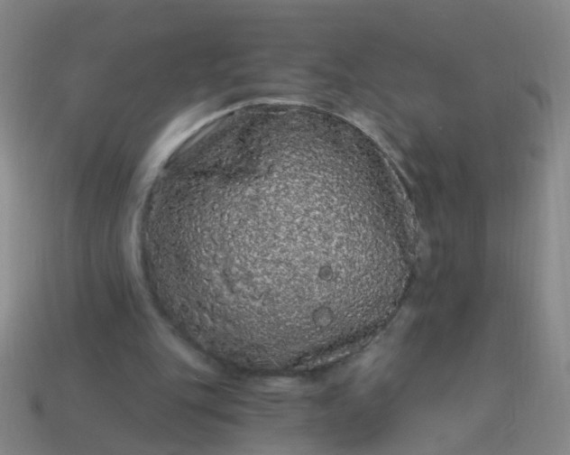 X0000114120151200910191730