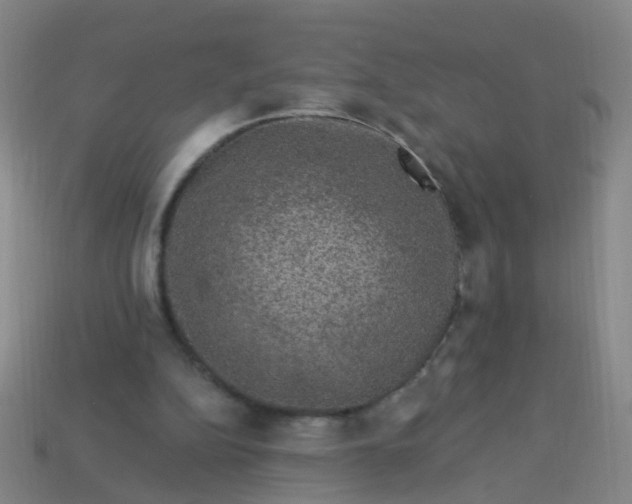 X0000114120152200910191730