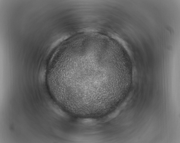 X0000114120153200910191730