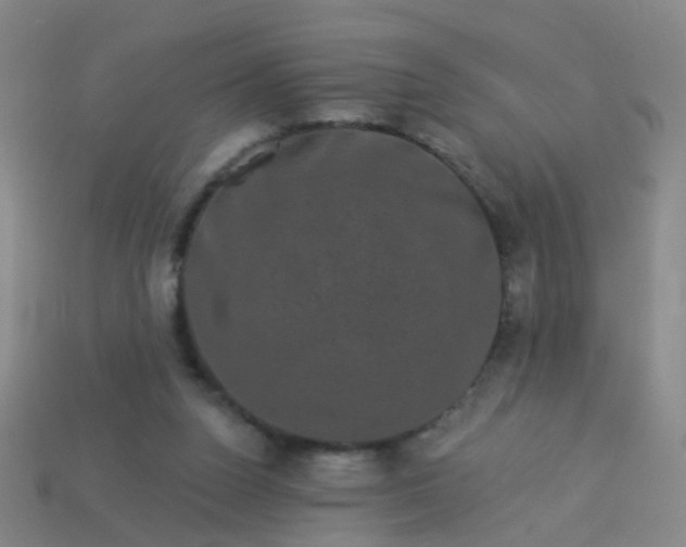 X0000114120160200910191730