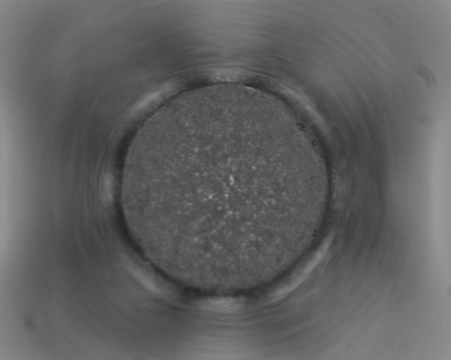 X0000114120161200910191730