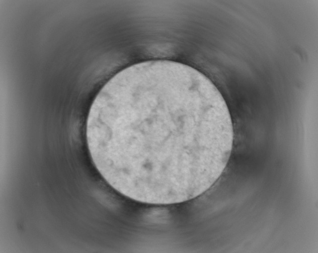 X0000114120162200910191730