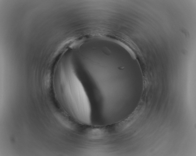 X0000114120163200910191730