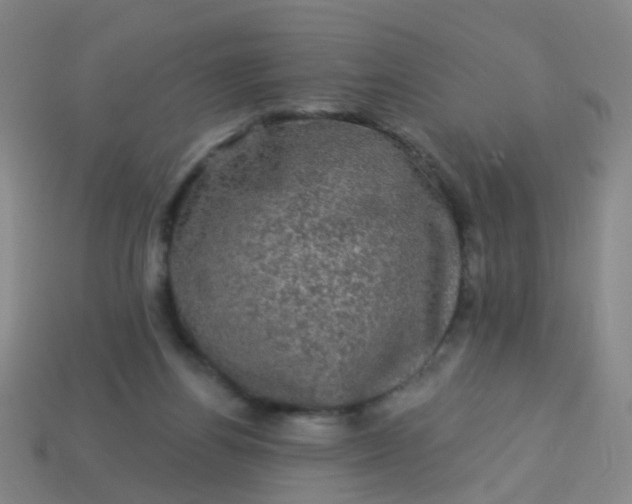 X0000114120164200910191730