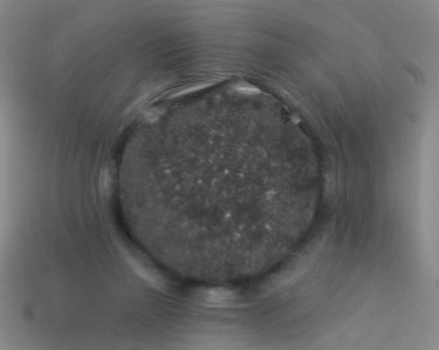 X0000114120165200910191730