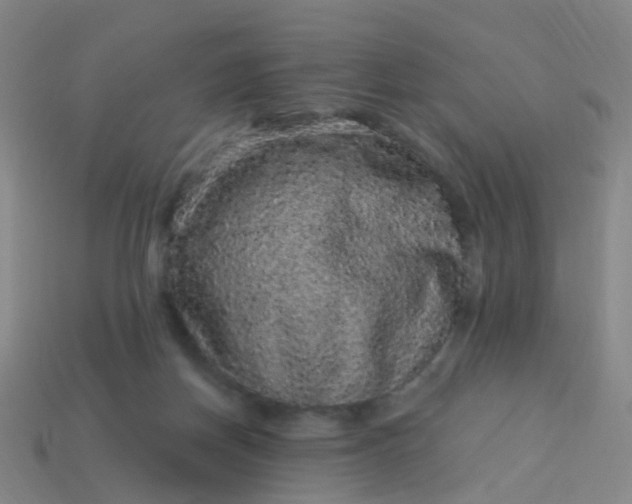 X0000114120166200910191730