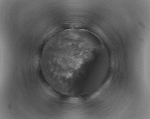 X0000114120169200910191730