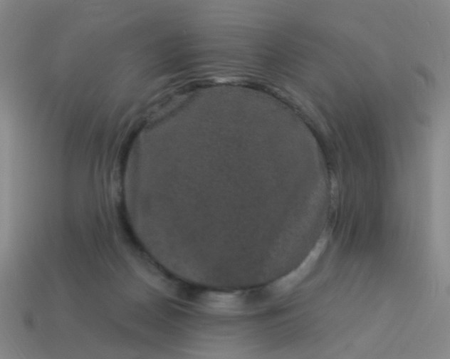 X0000114120170200910191730