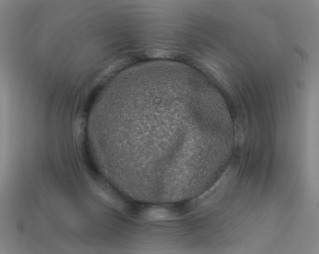 X0000114120171200910191730