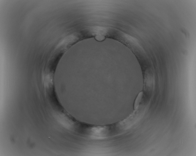 X0000114120172200910191730