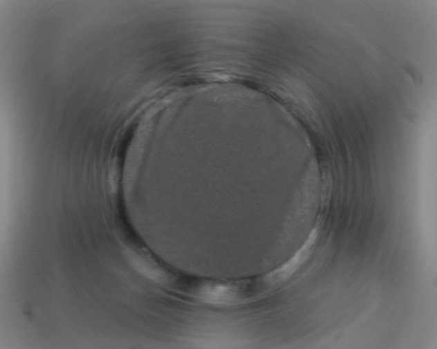 X0000114120174200910191730