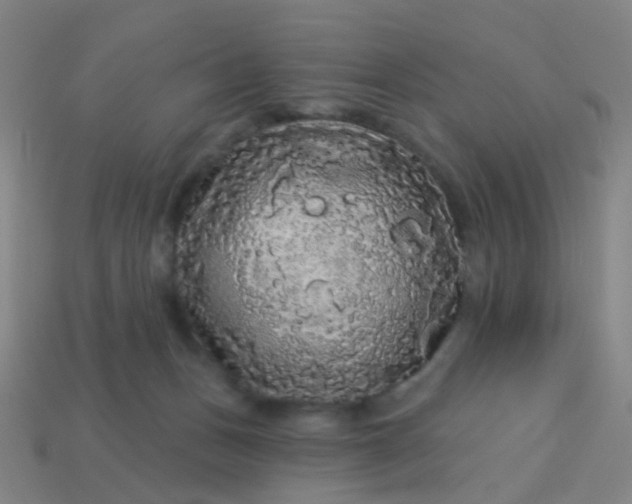 X0000114120175200910191730